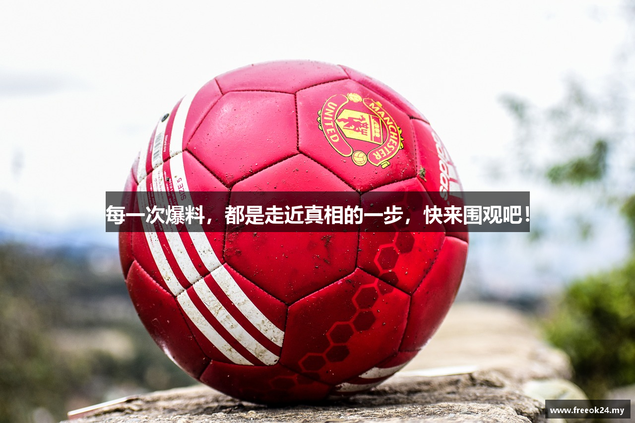 freeok.pro注册网站